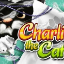 Charlie the Cat